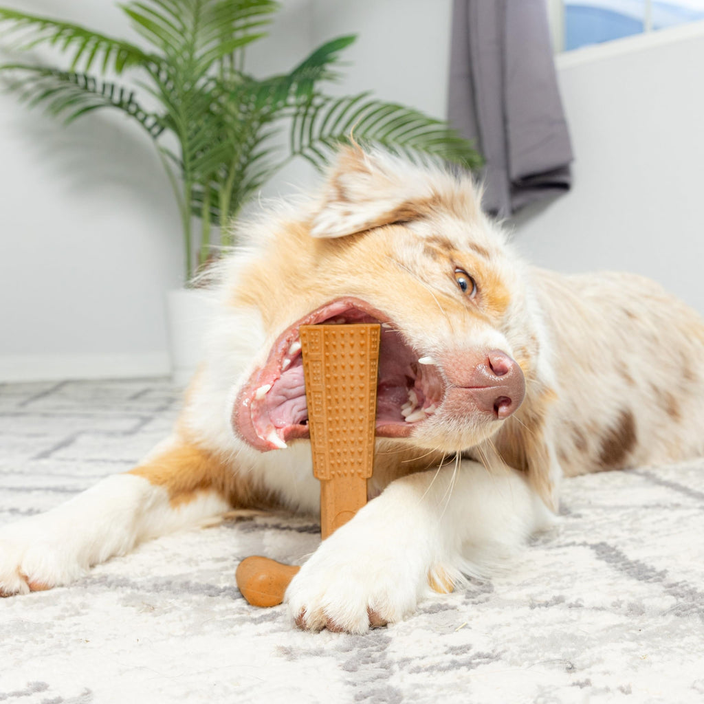 T-Shaped Dog Dental Chew Toy Durable Non-Splintering Plastic with Textured Ridges Ergonomic Grip for Aggressive Chewers Teething Puppies Adult Dogs Teeth Cleaning Plaque Removal