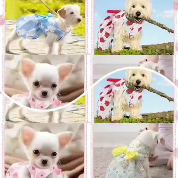 5-Pack Floral Princess Bow Dog Dresses for Small Dogs Soft Polyester Knit Pet Costume for Yorkies Chihuahuas Maltese Pomeranians Cats All Seasons 5 Cute Styles Gift