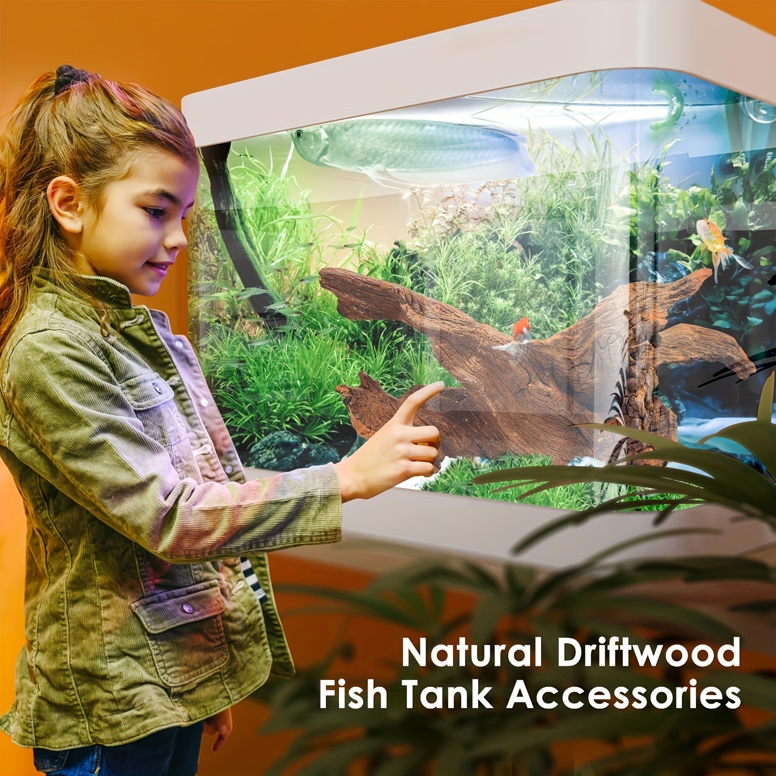 Natural Driftwood for Aquarium Decor & Reptile Terrarium – 2 Pieces 9 to 14 Inches Real Wood Branches for Fish Tank, Bearded Dragon, Lizard, Snake, Tree Frog, Turtle & Shrimp Habitat