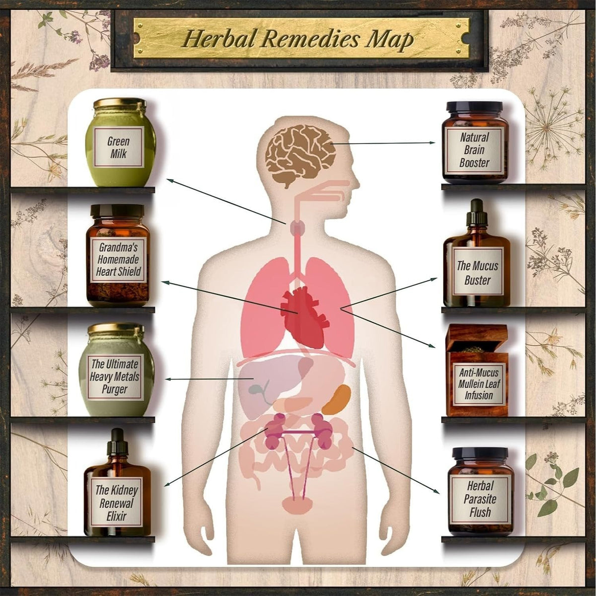 Forgotten Home Apothecary Book by Dr Nicole Apelian – 250 Natural Herbal Remedies 288 Full-Color Pages Step-by-Step Instructions Photos & Dosages for Home Healing