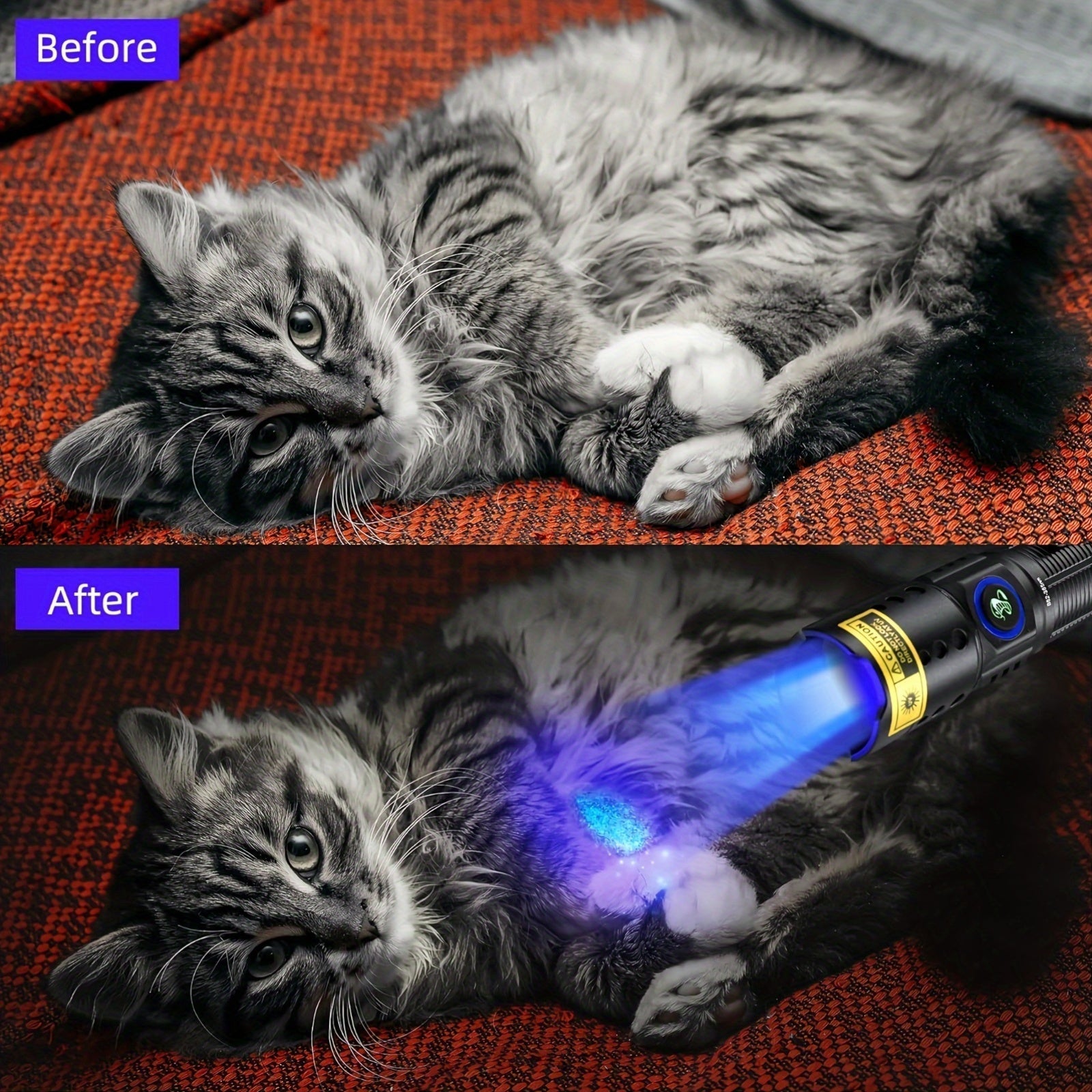 UV Blacklight Flashlight 395nm Portable Ultraviolet Light for Pet Urine Stain Detection Counterfeit Currency Scorpion Hunting Ringworm Inspection Multi-Pack 4 6 8 12pcs AAA Battery Powered