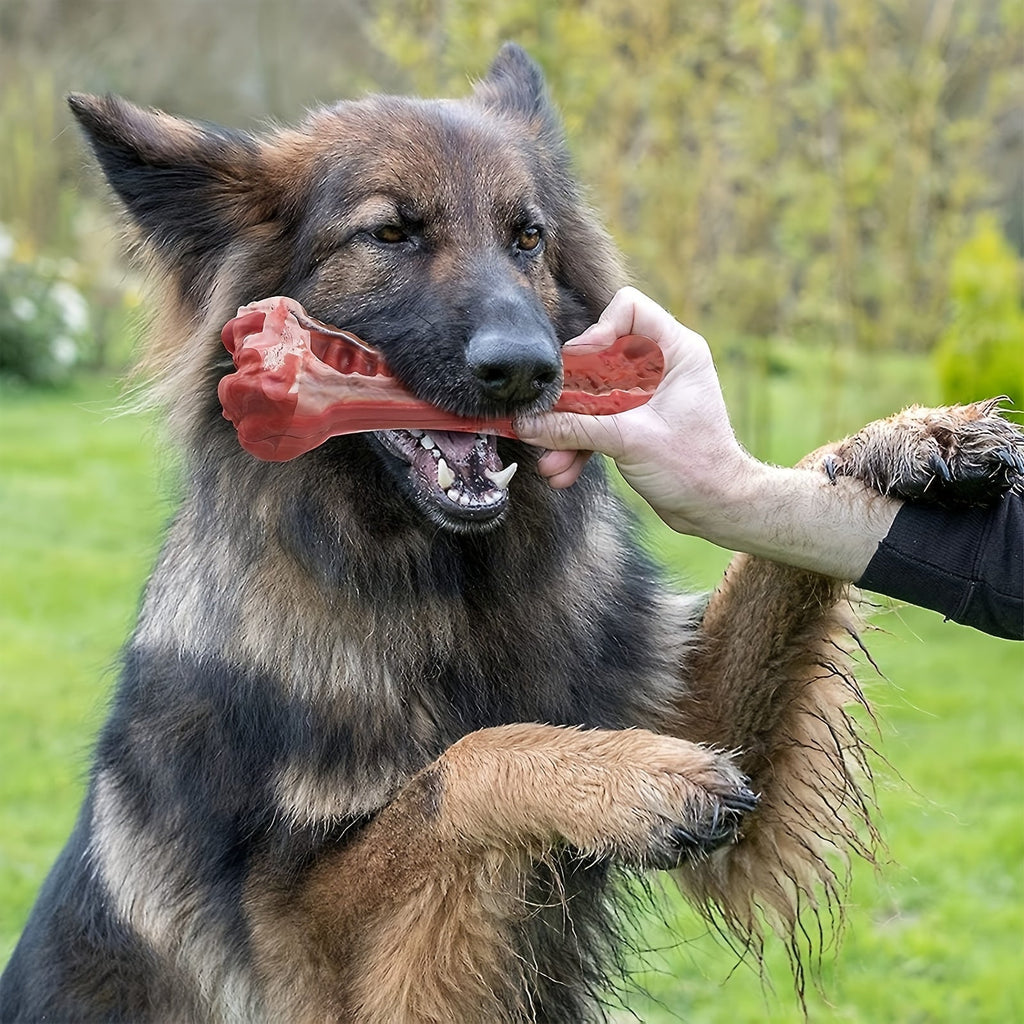 Indestructible Dog Chew Toy for Aggressive Chewers, Durable Natural Rubber Bone Chew Toy for Teeth Cleaning & Interactive Play, Non-Toxic Dog Bone for Small, Medium & Large Breeds – L Size 5.91 Inch