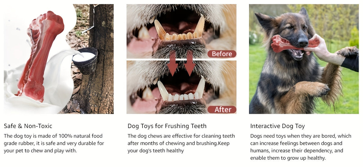 Indestructible Dog Chew Toy for Aggressive Chewers, Durable Natural Rubber Bone Chew Toy for Teeth Cleaning & Interactive Play, Non-Toxic Dog Bone for Small, Medium & Large Breeds – L Size 5.91 Inch