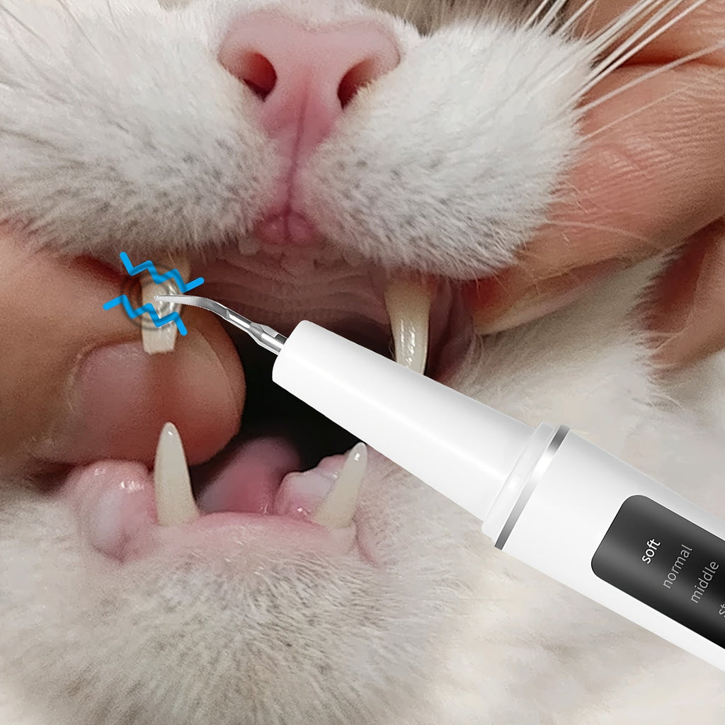 Electric Pet Teeth Cleaning Kit for Cats Dogs USB Rechargeable Removes Tartar Plaque Stains 4 Cleaning Heads 5 Modes At-Home Dental Care