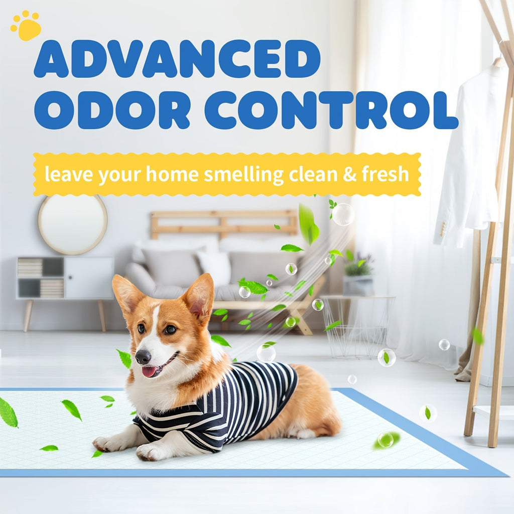 Dog Pee Pads 100 Count 6-Layer Super Absorbent Puppy Training Pads Leak-Proof & Odor Control – Disposable Dog Potty Pads for Puppies, Dogs & Cats, 34"x28" or 22"x22"