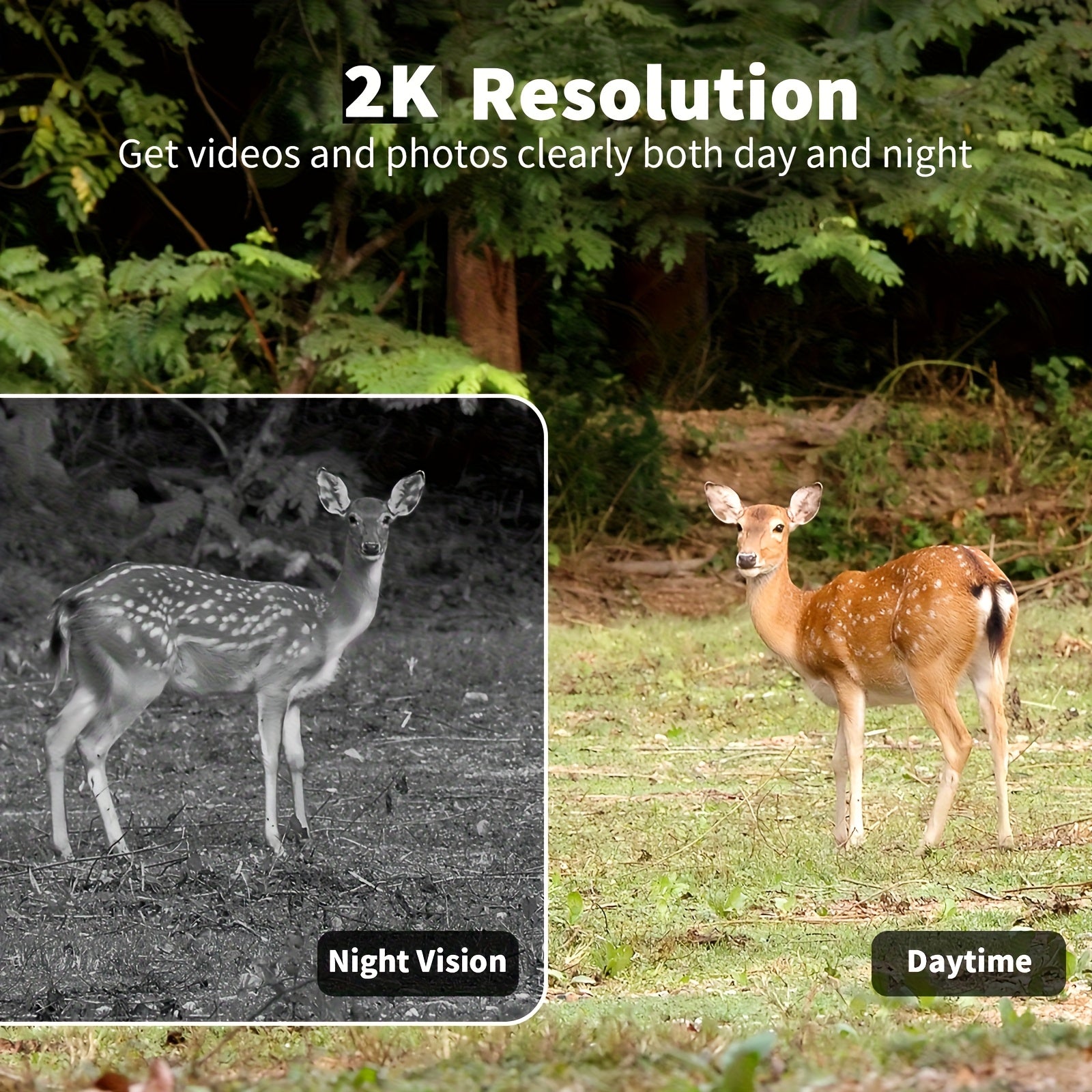 4G Trail Camera No WiFi Required 2K 1440P Solar Powered – Built-in SIM Card, 75ft Night Vision, 0.2s Trigger, 7800mAh Battery, Wireless Outdoor Hunting & Security Camera for Remote Areas