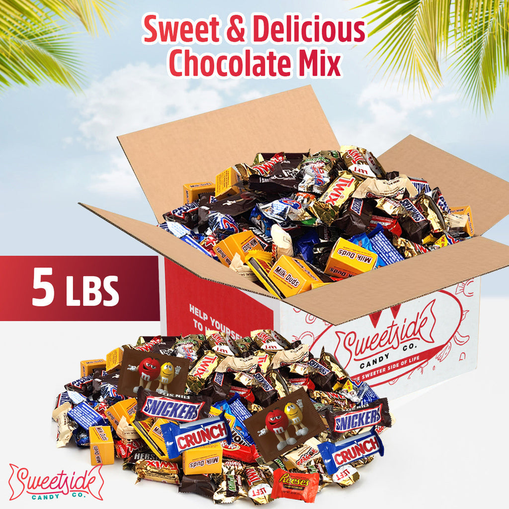 Bulk Assorted Chocolate Candy Variety Pack – Mixed Chocolate Assortment Bag Individually Wrapped, Ideal for Party Candy Bowls, Holiday Gifting, Office Sharing & Snacking