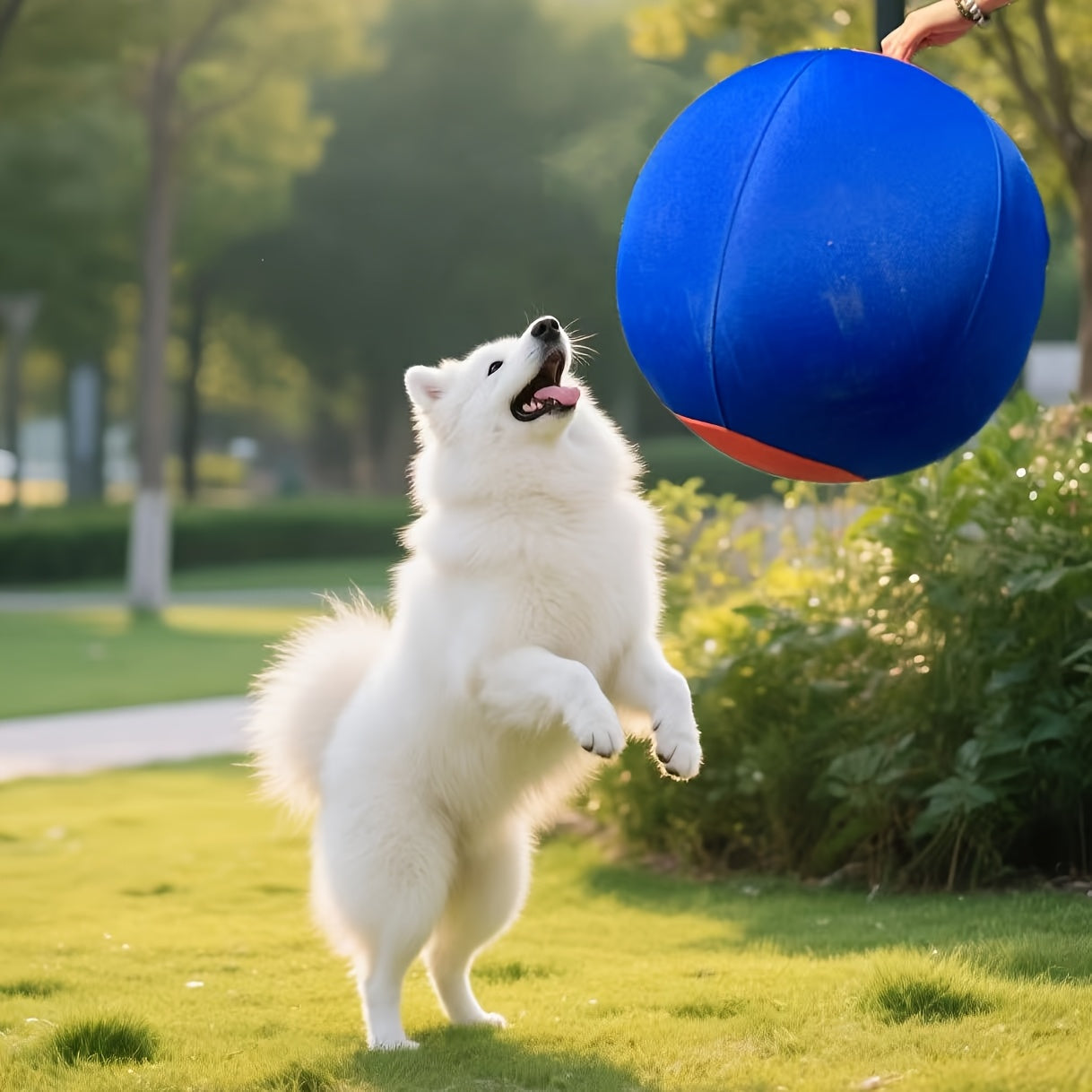 Inflatable Dog Herding Ball Toy Large – Interactive Push & Chase Training Ball for Dogs, Anti-Boredom Exercise for Bulldogs, Golden Retrievers & Australian Shepherds, No Battery