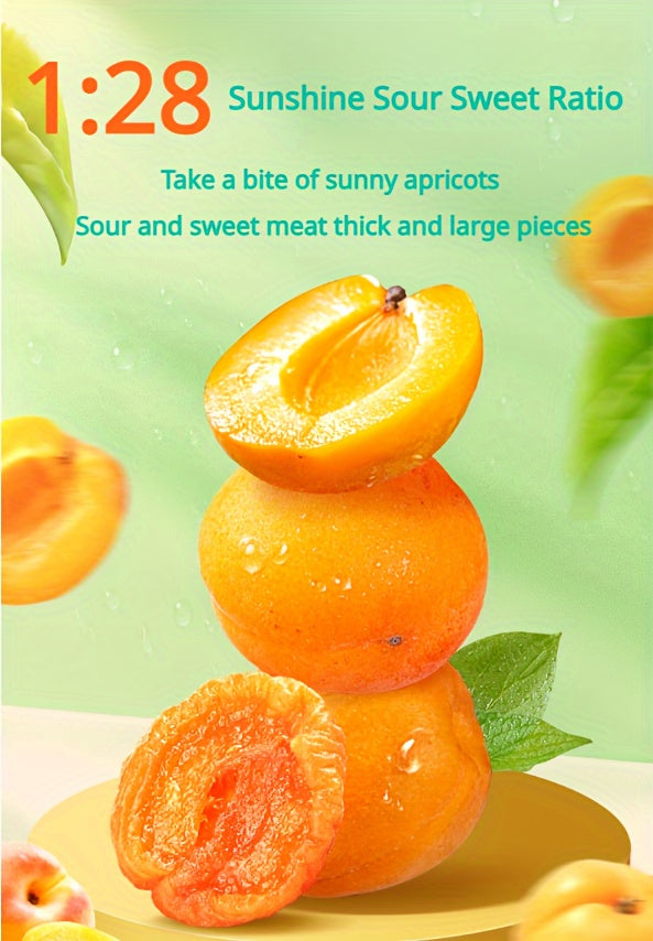 Dried Apricots Snack 3 Bags Pack Natural Tropical Dried Fruit Healthy Sweet Snack for Parties Gifts Travel