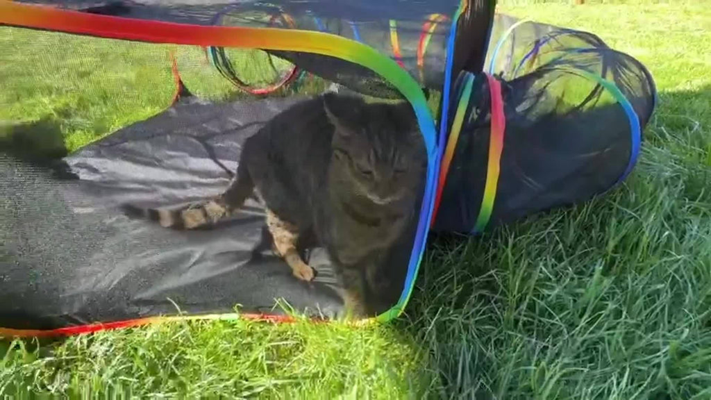 Rainbow Cat Playpen Outdoor Cat Enclosure with Circle Tunnel Portable Pop-Up Tent Foldable Cat Playground for Cats Kittens Rabbits Small Animals Indoor Outdoor Safe Exercise Space