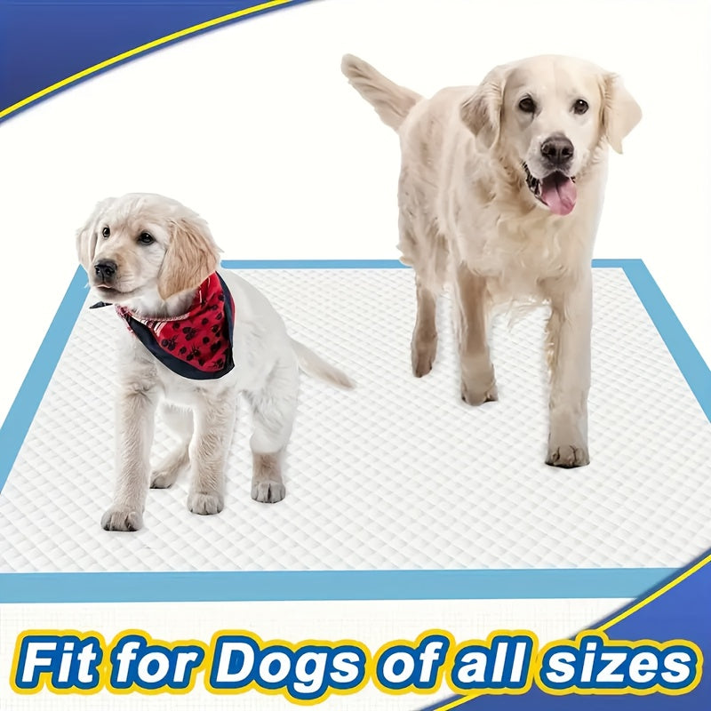 XXXL Dog Pee Pads 80+20 Bonus Pack – 6-Layer Odor-Resistant Leak-Proof Disposable Training Pads for Small Large & Elderly Dogs, Two Sizes 23x23 or 29x35 Inch, 100 Total Pads