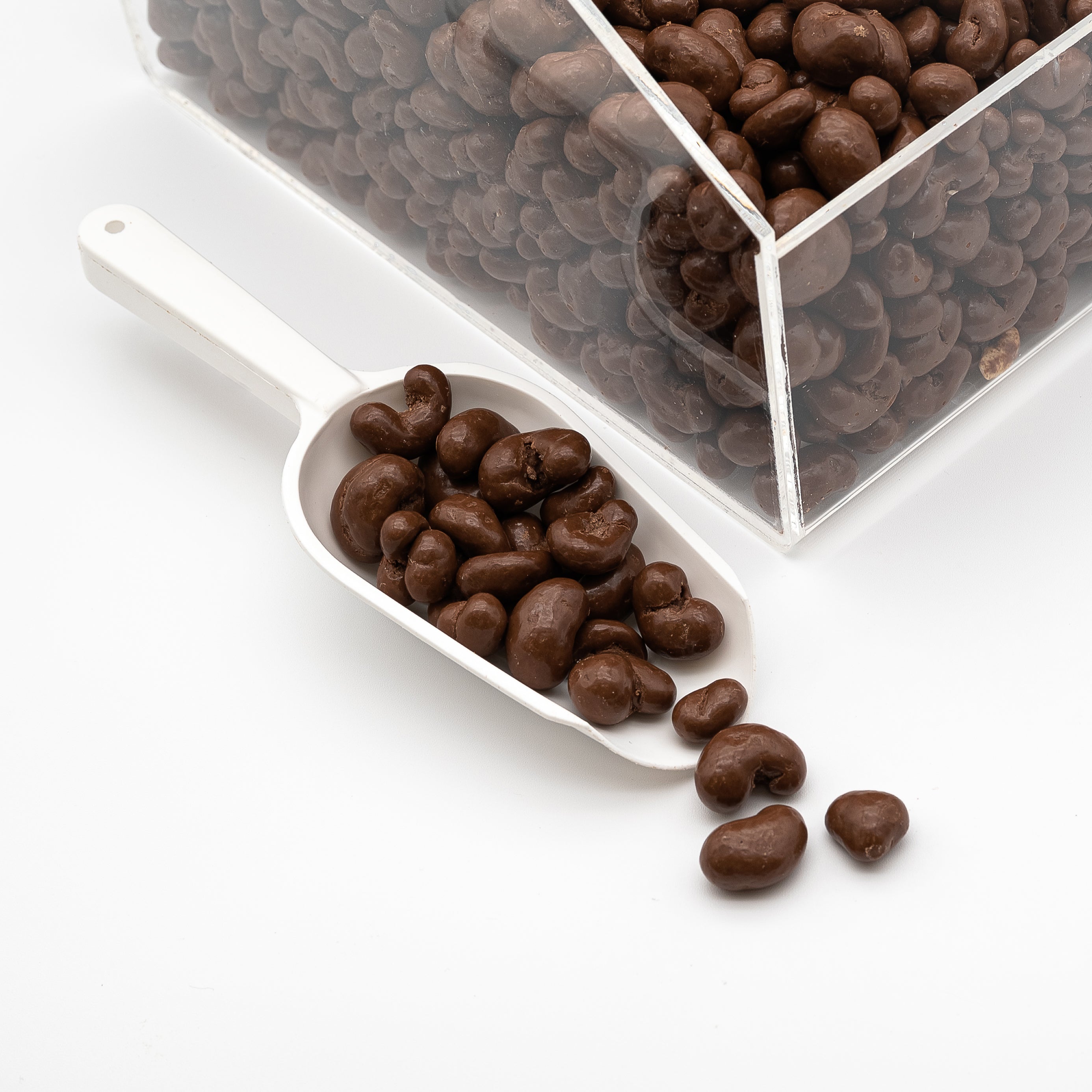 Milk Chocolate Cashews – Premium Creamy Milk Chocolate Coated Cashew Nuts Bulk Gourmet Snack for Gifting Parties & Everyday Indulgence, 8 oz & 1 lb