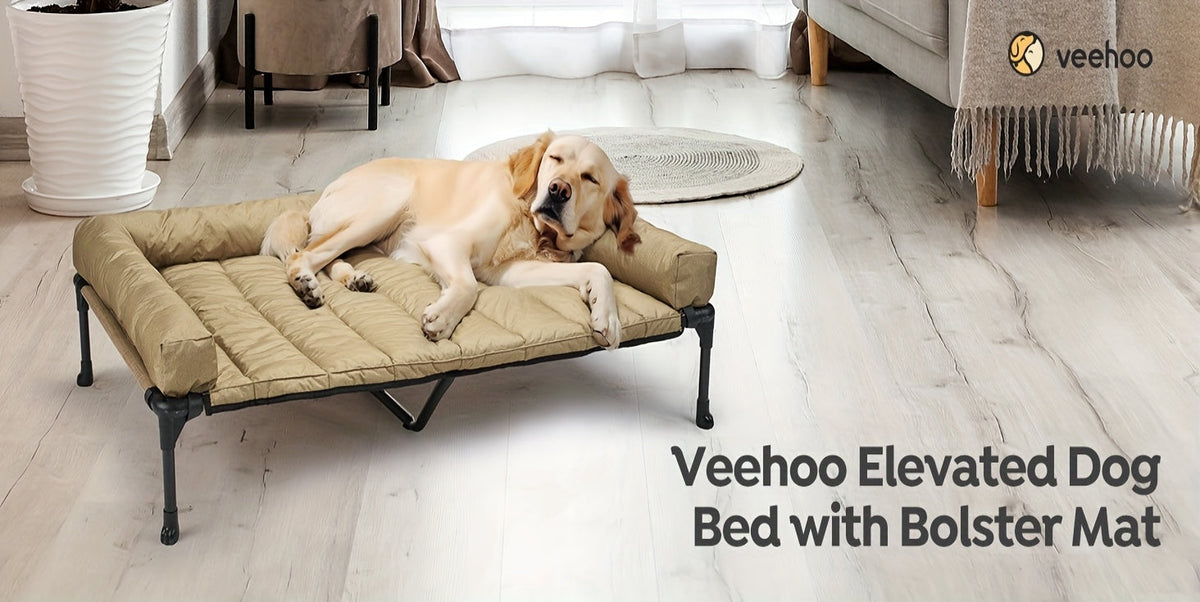 Cooling Elevated Dog Bed with Removable Pillow-Top Mat – Raised Bolster Dog Cot with Breathable Mesh Non-Slip Feet Dog Sofa Bed for Indoor & Outdoor Use