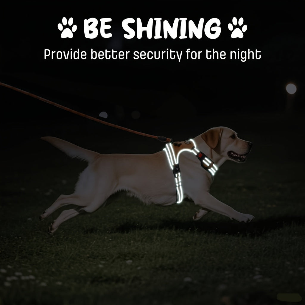 No Pull Dog Harness Set with Leash Retractable Seatbelt Collar Storage Strap Fully Reflective Breathable Mesh Adjustable Vest Harness Front Back Clip Handle XS to XL 8 Colors