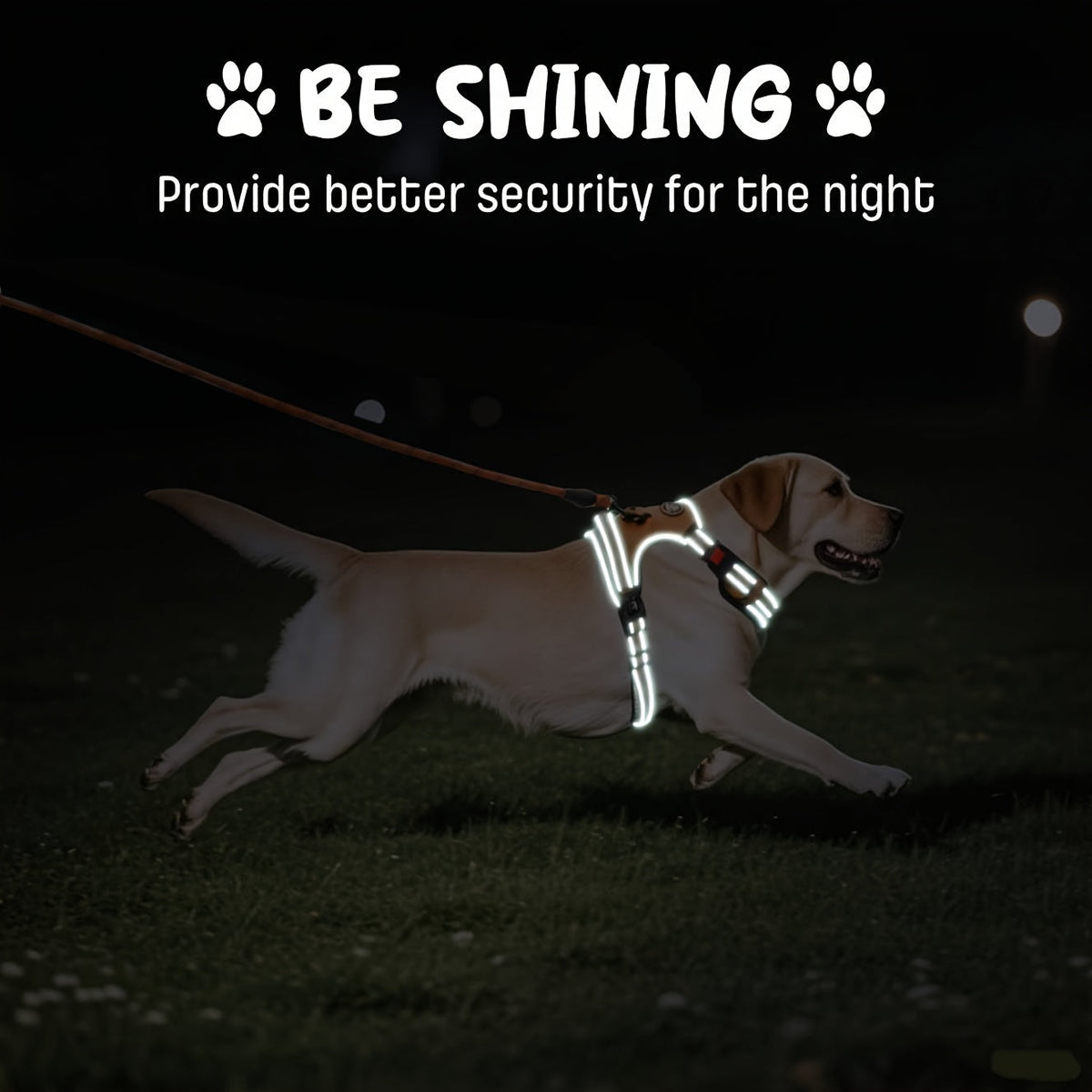No Pull Dog Harness Set with Leash Retractable Seatbelt Collar Storage Strap Fully Reflective Breathable Mesh Adjustable Vest Harness Front Back Clip Handle XS to XL 8 Colors