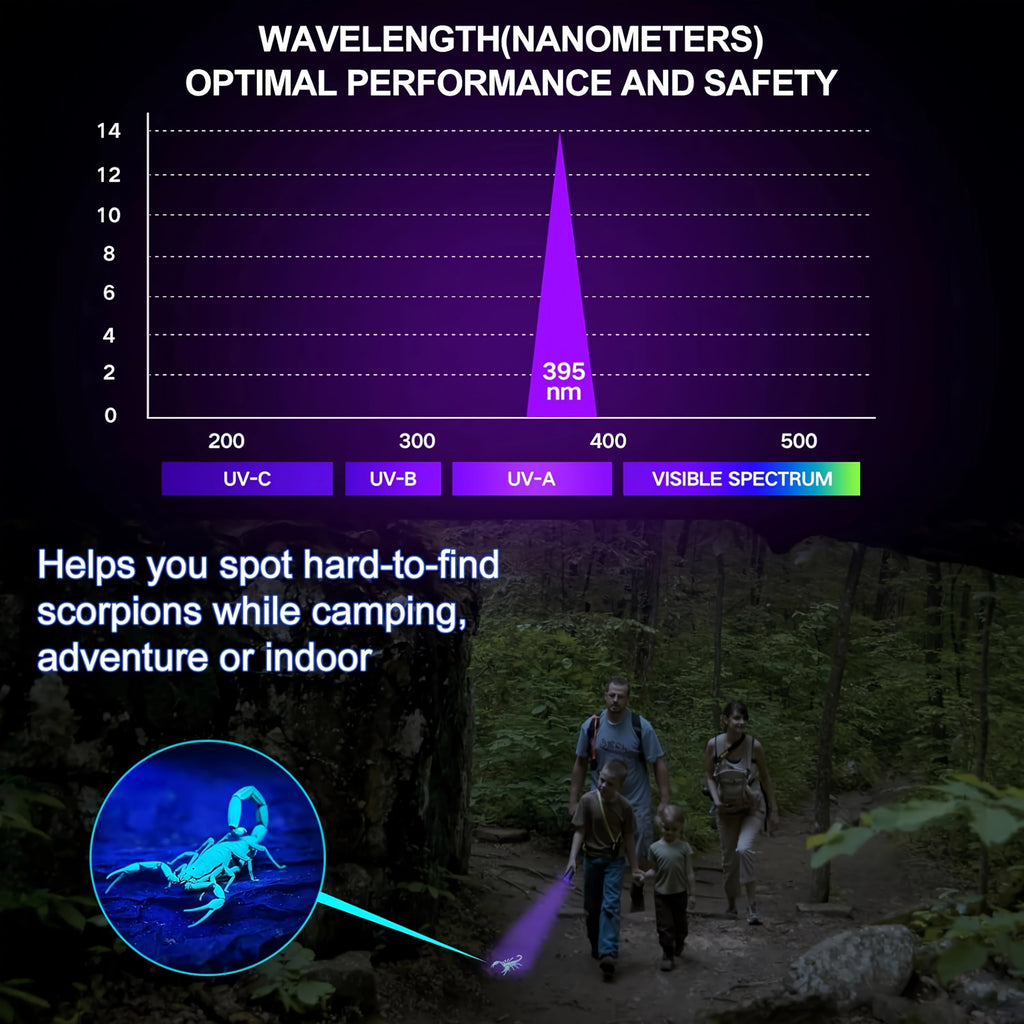 UV Blacklight Flashlight 395nm Portable Ultraviolet Light for Pet Urine Stain Detection Counterfeit Currency Scorpion Hunting Ringworm Inspection Multi-Pack 4 6 8 12pcs AAA Battery Powered