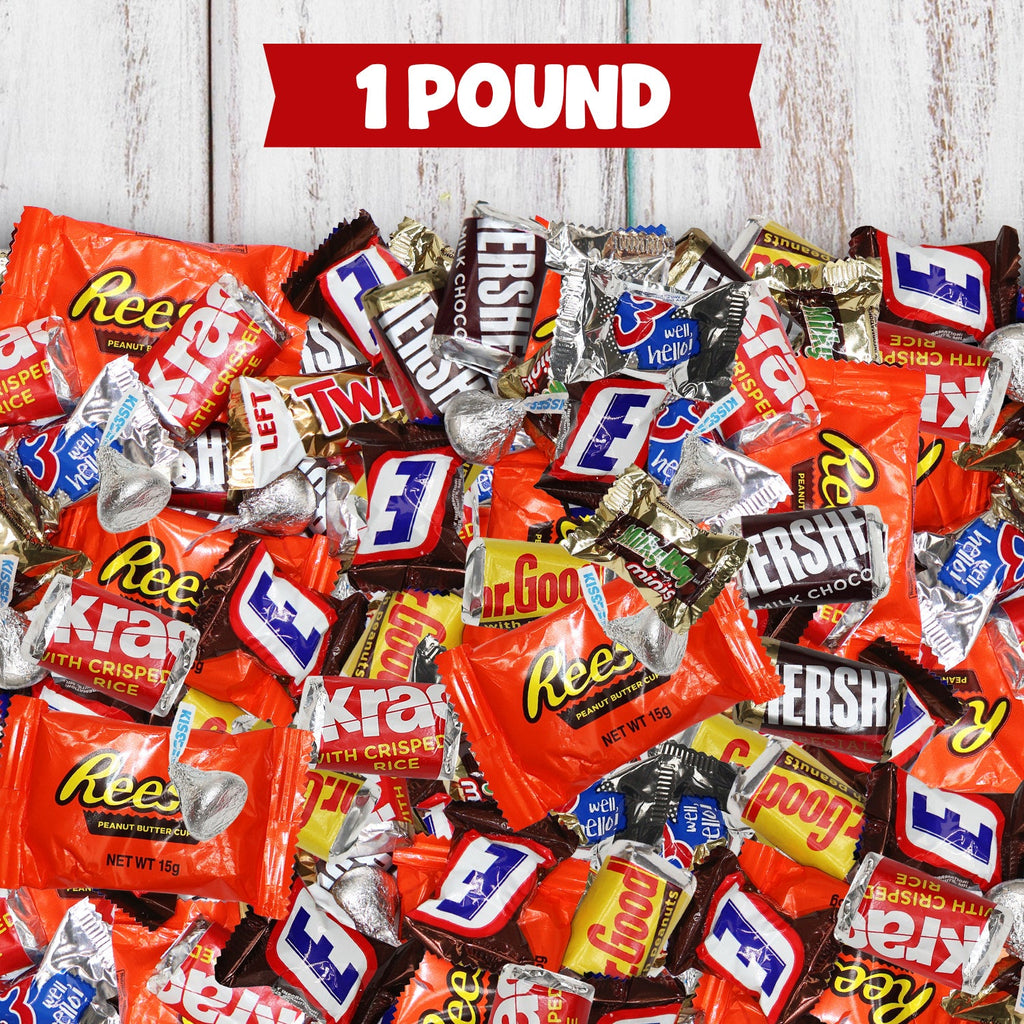 Assorted Chocolate Mix 1 Pound Bulk Bag – Individually Wrapped Milk Chocolate Peanut Butter Caramel Variety Perfect for Halloween Parties Holidays & Everyday Snacking