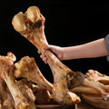 Long-Lasting Beef Bone Dog Chews Real Beef Flavor Chew Bones for Medium and Large Dogs Natural Daily Reward Dental Treats for Indoor Outdoor Snack Training Labrador German Shepherd