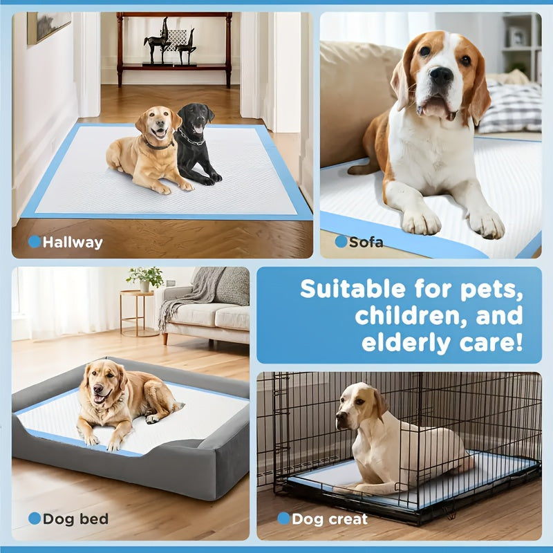 Extra Large Dog Pee Pads 24x24 Inch Super Absorbent Leak-Proof Disposable Puppy Potty Training Pads Odor Control Indoor Outdoor 50-Pack 200-Pack Senior Dogs Large Breeds