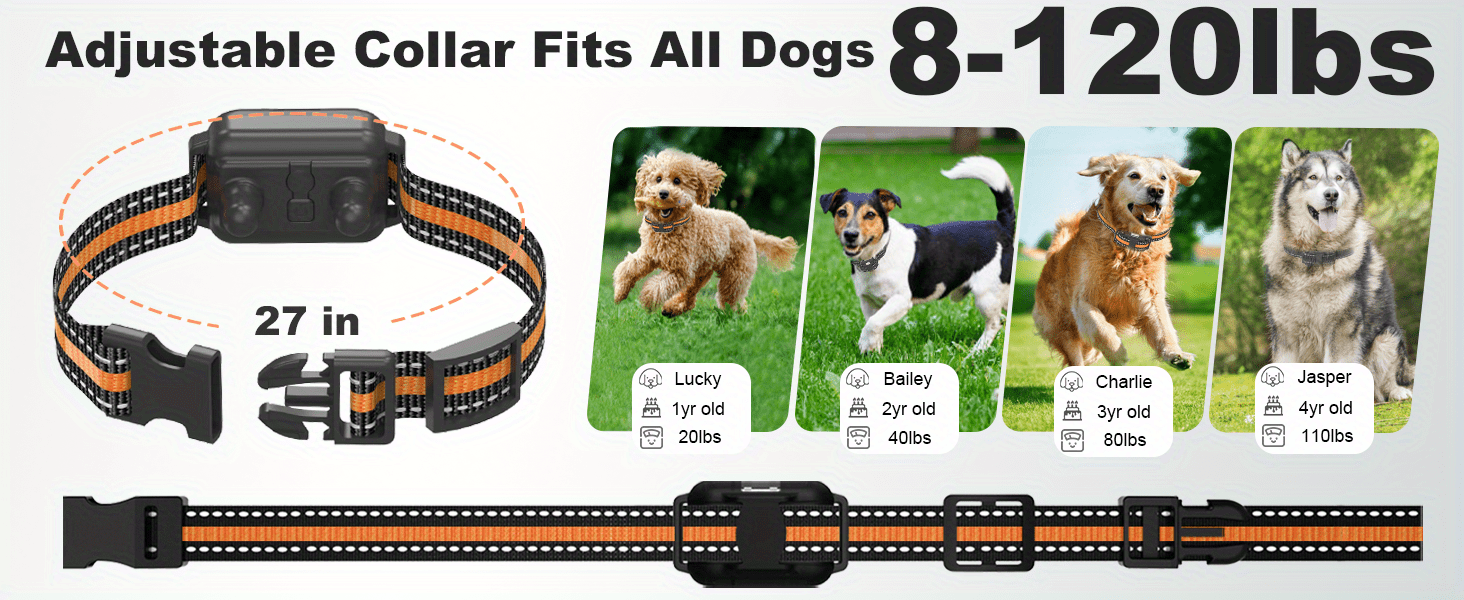 Dog Training Collar with Remote 3300ft Range Rechargeable E-Collar for 1 2 3 Dogs 5-120 Lb Beep Vibration Safe Shock Waterproof for Small Medium Large Breeds Off-Leash Obedience