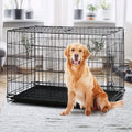 Double Door Folding Metal Dog Crate 42 48 Inch with Divider Leak-Proof Tray High-Temp Paint Finish Wire Kennel Puppy Medium Large Dogs Indoor Outdoor Black Blue Pink