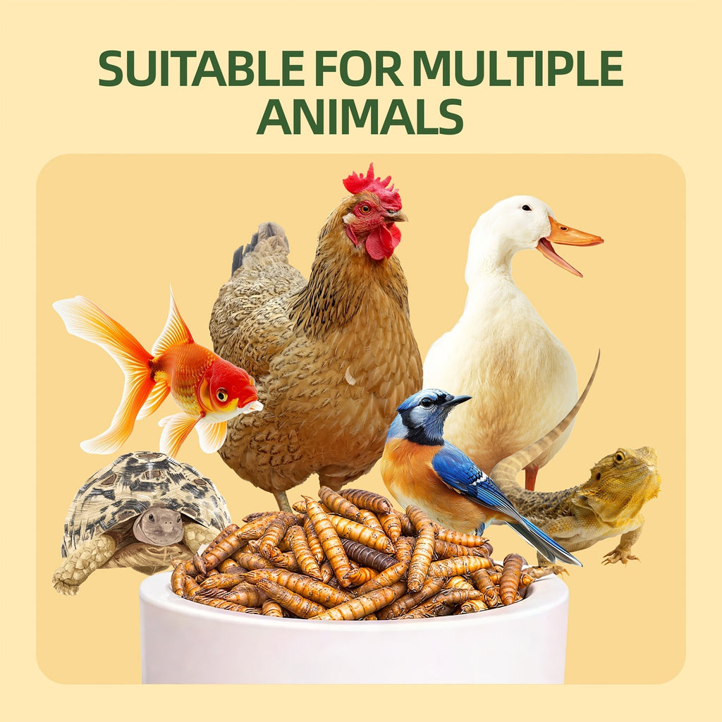 Dried Black Soldier Fly Larvae for Chickens – High Protein 43% & 85x More Calcium Than Mealworms, Non-GMO Natural BSFL Treats for Laying Hens, Ducks, Quail, Birds & Reptiles, 2LB / 5LB / 10LB