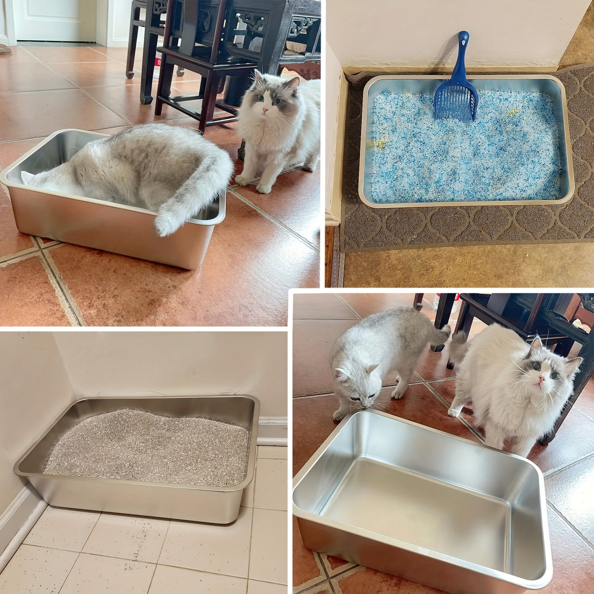 Stainless Steel Cat Litter Box XL – 2-Pack Extra Large Metal Litter Box, 6" Deep High Sides, Easy to Clean, Odor Resistant, for Big Cats & Multi-Cat Households, Rectangle Corner-Fit Design