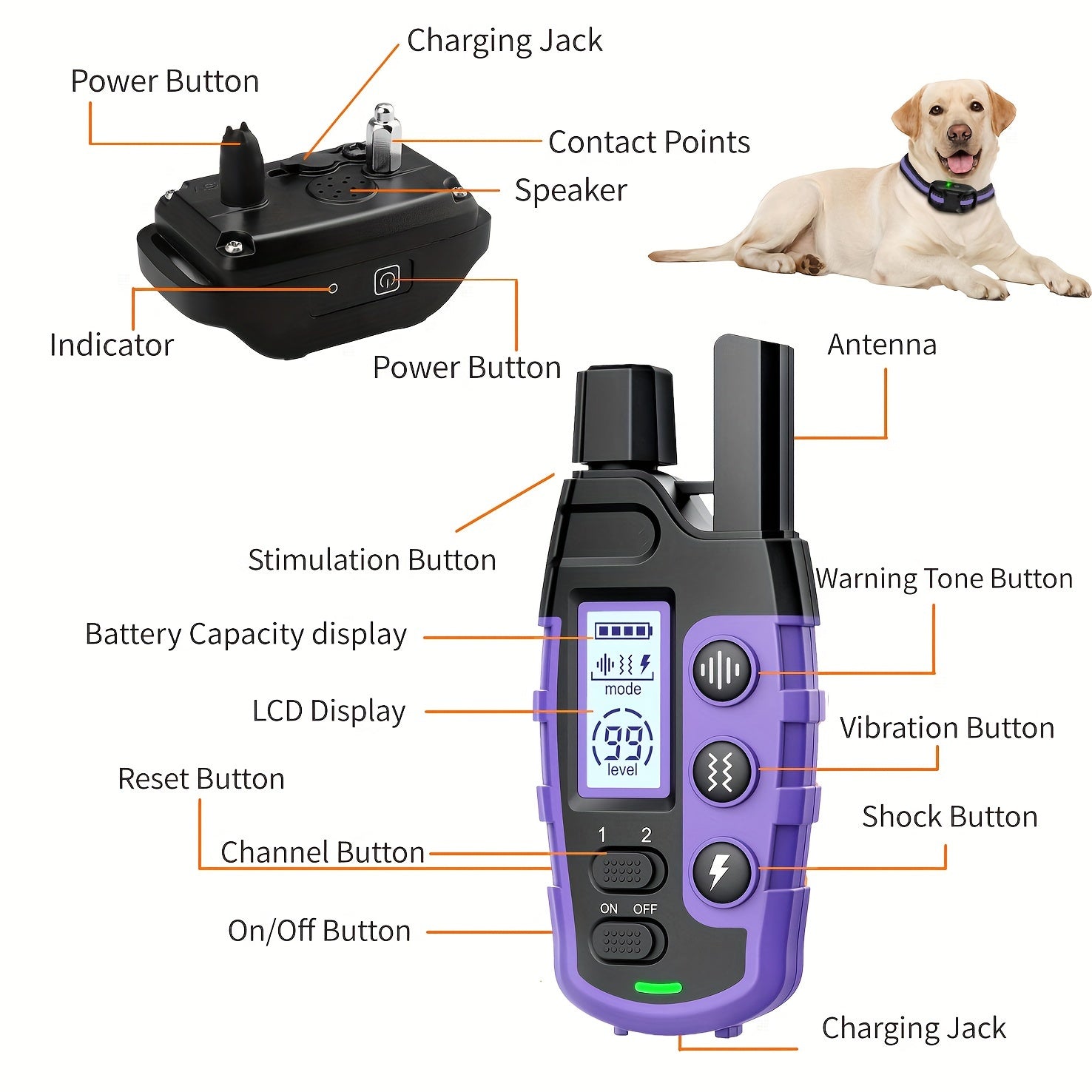 Dog Training Collar with Remote 4150ft Range Shock Vibration & Beep Modes Rechargeable E-Collar – Small to Large Dogs 5-150lbs, 1 Dog & 2 Dog Options, Purple