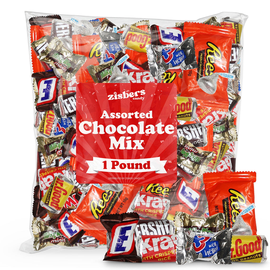 Assorted Chocolate Mix 1 Pound Bulk Bag – Individually Wrapped Milk Chocolate Peanut Butter Caramel Variety Perfect for Halloween Parties Holidays & Everyday Snacking