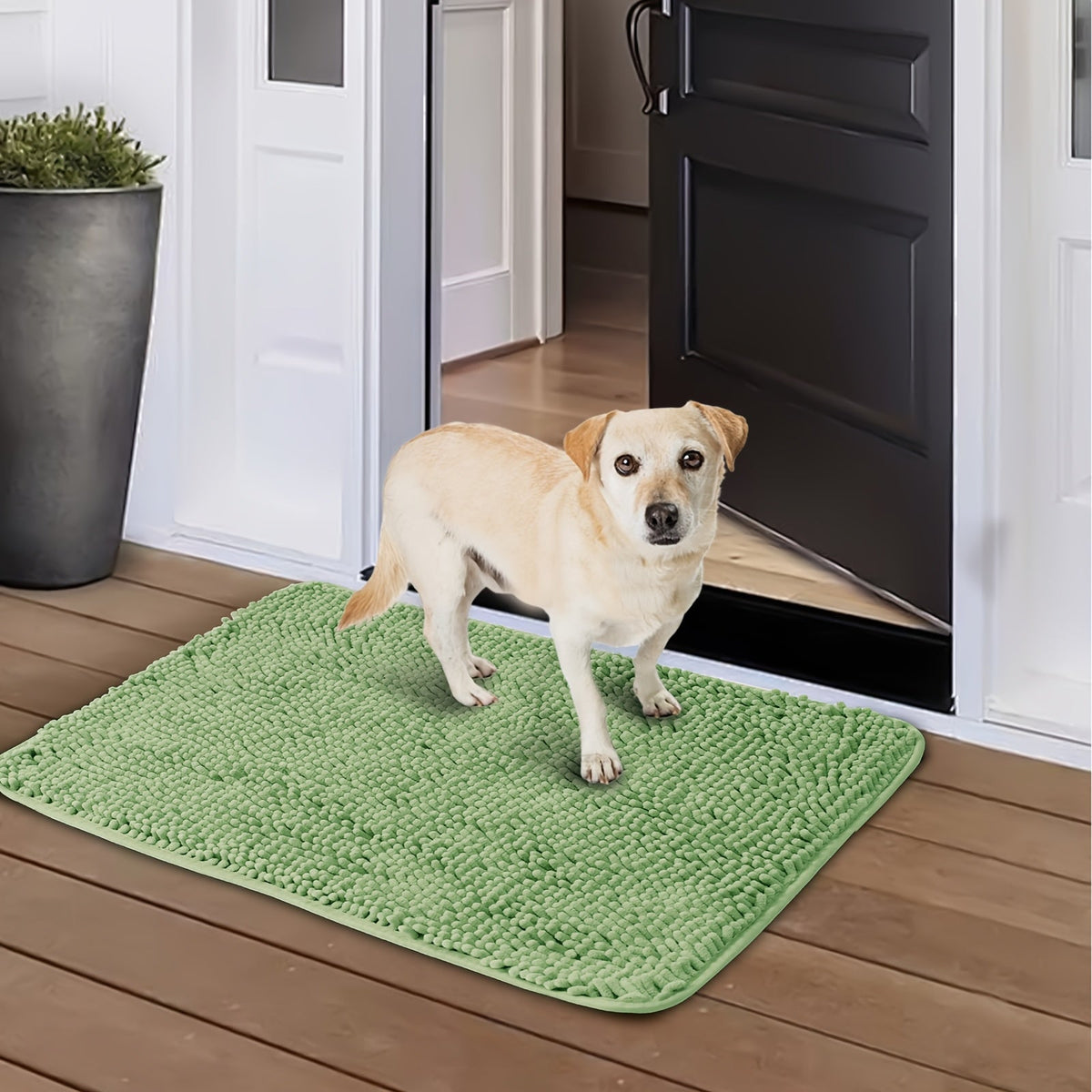 Dog Door Mat for Muddy Paws 2-Pack Absorbent Non-Slip Washable Microfiber Mud Mat Quick Dry Entry Indoor Floor Mat 24x17 32x20 Inch 3 Colors Camel Green Grey Machine Washable