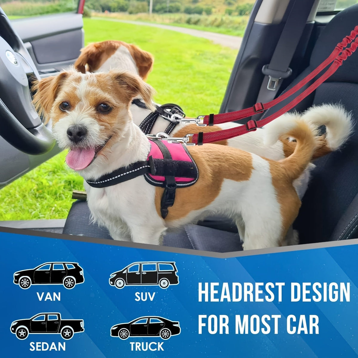 Dual Dog Car Seat Belt 2 Dogs Simultaneously No-Tangle Adjustable Bungee Headrest Clip Pet Safety Harness Small Medium Large Dogs Travel Black Red Rose Red