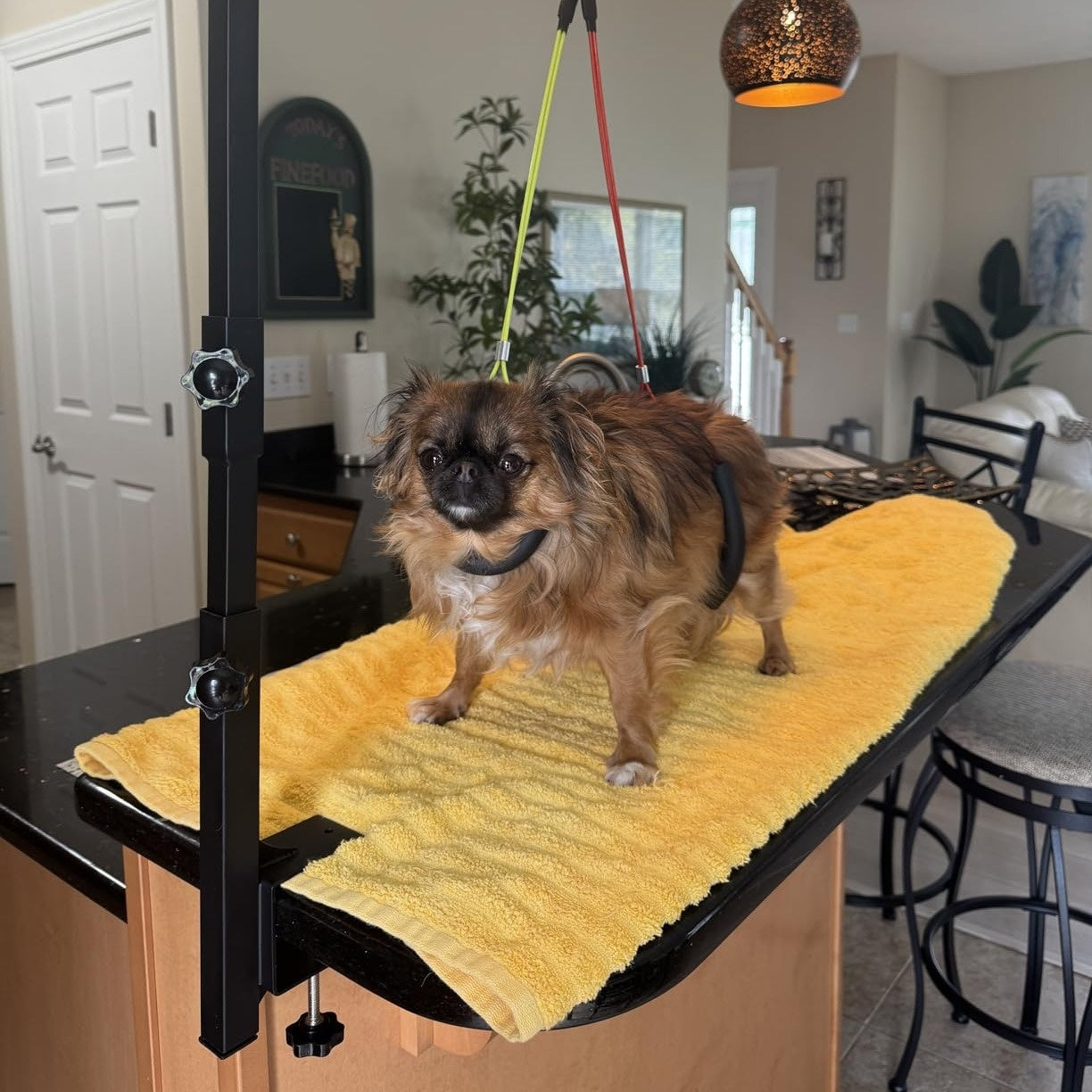 Dog Grooming Arm with Clamp 36 Inch Adjustable Heavy-Duty Iron No-Sit Haunch Holder 3-Section Design Small Medium Dogs Cats Colorful Positioning Ropes Professional Pet Grooming