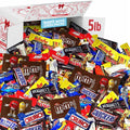 Bulk Assorted Chocolate Candy Variety Pack – Mixed Chocolate Assortment Bag Individually Wrapped, Ideal for Party Candy Bowls, Holiday Gifting, Office Sharing & Snacking