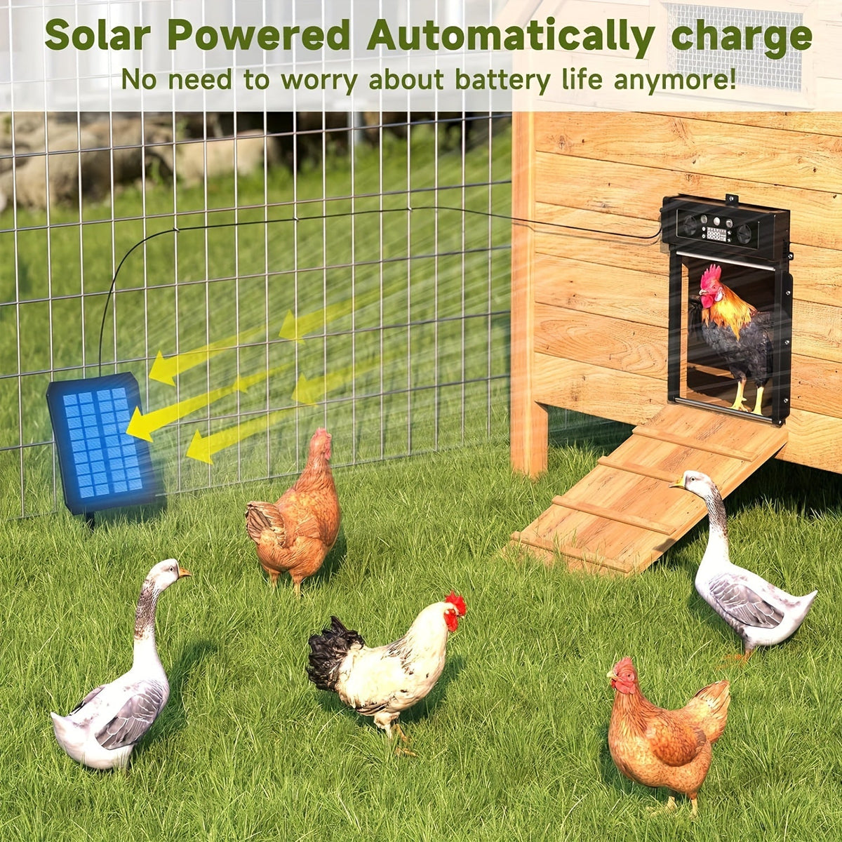 Automatic Chicken Coop Door Solar Powered with Timer & Light Sensor – Aluminum Alloy Anti-Pinch Design with 4000mAh Battery Solar Panel & Remote Control for Poultry Management