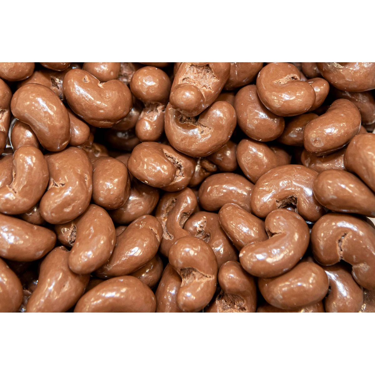 Milk Chocolate Cashews – Premium Creamy Milk Chocolate Coated Cashew Nuts Bulk Gourmet Snack for Gifting Parties & Everyday Indulgence, 8 oz & 1 lb