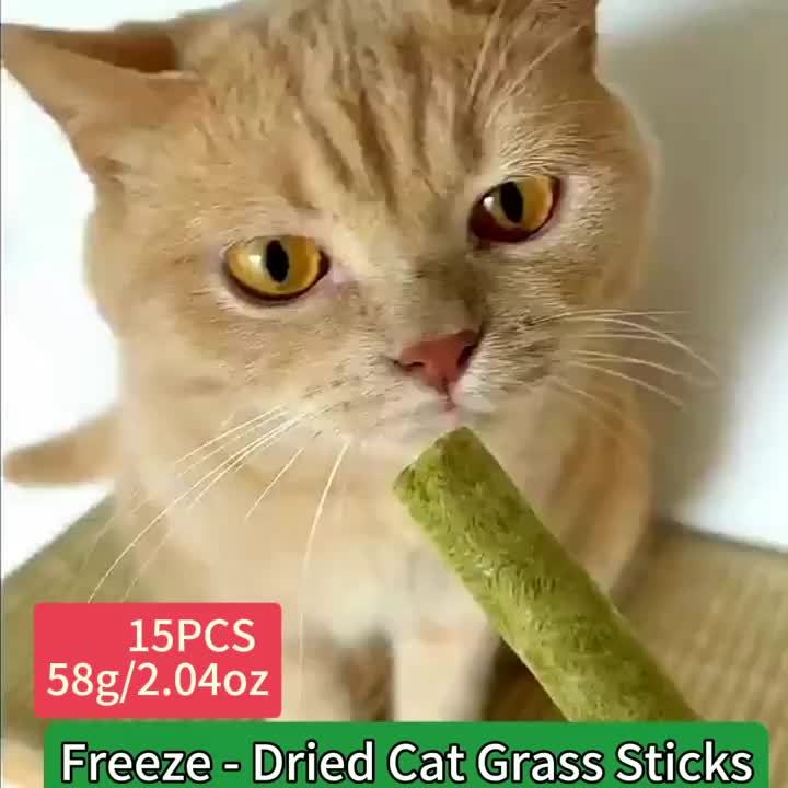 Cat Grass Freeze-Dried Grinding Sticks – Edible Chew Toy for Cats Teeth Cleaning & Hairball Removal, Natural Cat Grass Snack Treats 15 or 30 Pcs