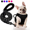No Pull Dog Harness and Leash Set Adjustable Reflective Oxford Vest 5-Foot Padded Handle Rope Medium Large Dogs Quick-Release Buckles Sizes S M L XL 5 Colors Black Purple Blue Red