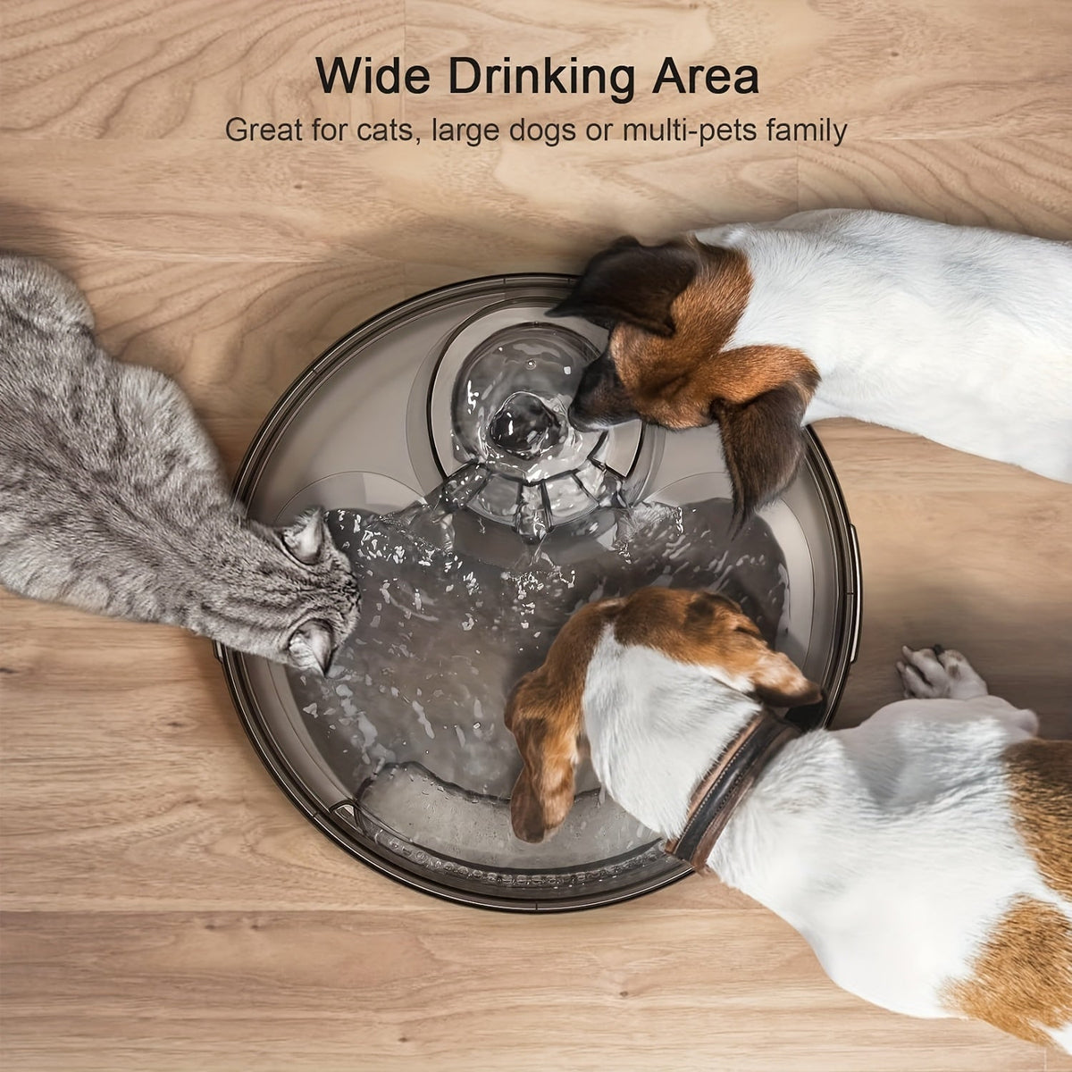 Automatic Pet Water Fountain 1.3 Gallon 5L Large Capacity Splatter Guard Cleaning Kit USB Low Voltage Multi-Filter Options for Dogs Cats Multiple Pets White