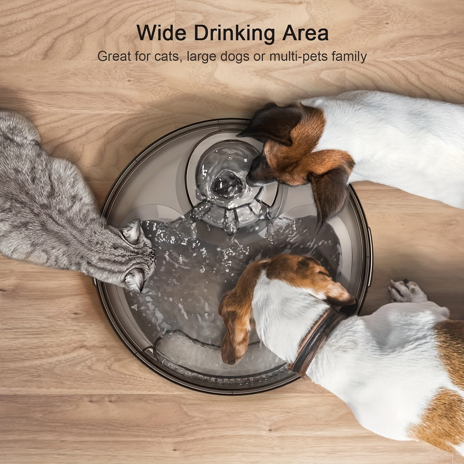 Automatic Pet Water Fountain 1.3 Gallon 5L Large Capacity Splatter Guard Cleaning Kit USB Low Voltage Multi-Filter Options for Dogs Cats Multiple Pets White