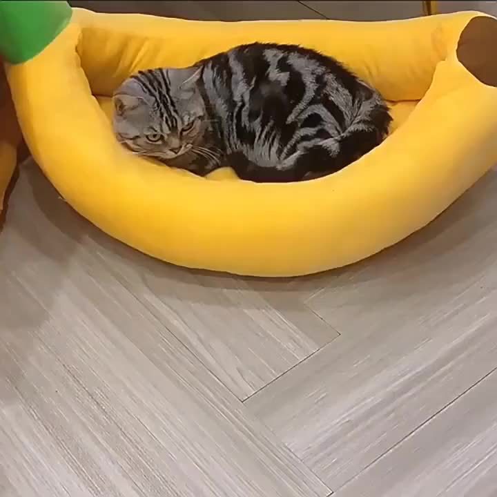 Cat Tunnel Bed with Donut Hole Indoor Hiding Place - All-Season Collapsible Soft Plush Cat Cave Bed for Indoor Cats, Dark Gray & Light Gray, 20 & 24 Inch, Perfect Cat Gift