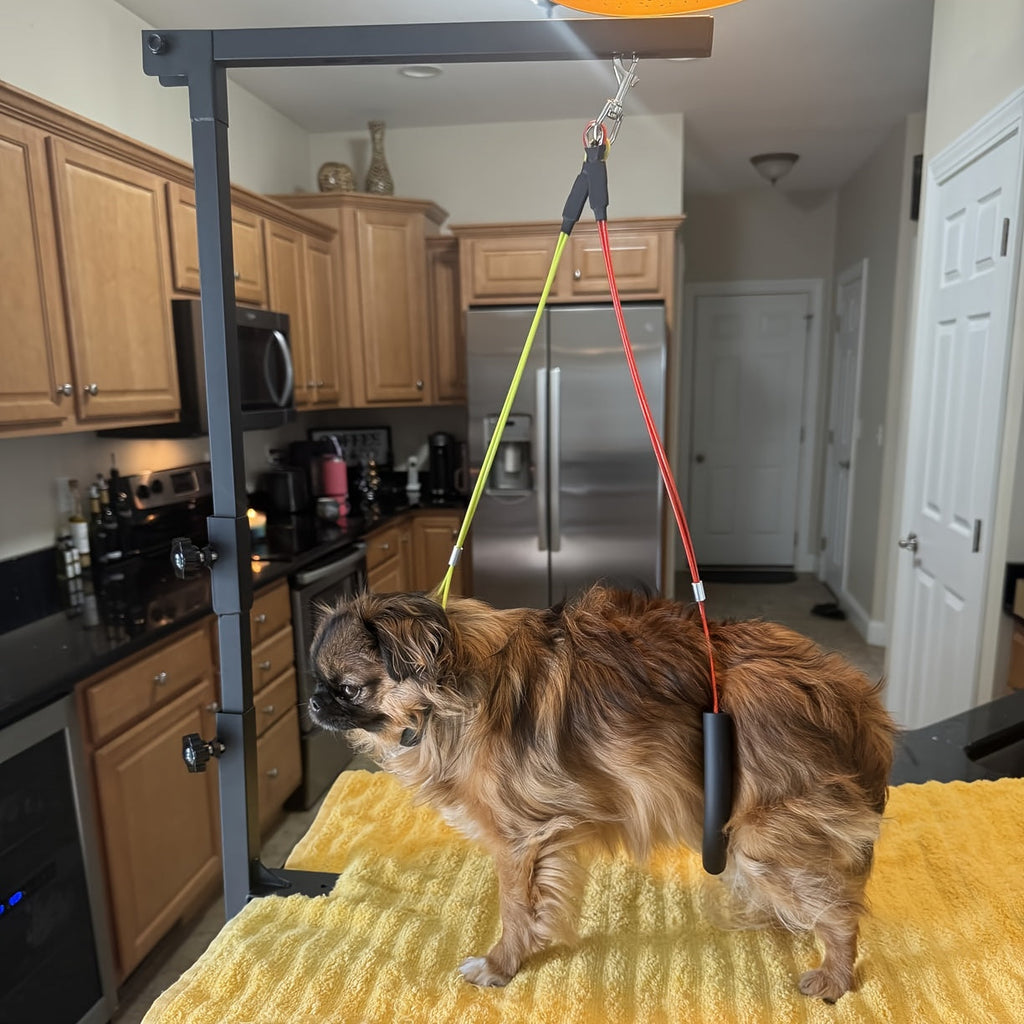 Dog Grooming Arm with Clamp 36 Inch Adjustable Heavy-Duty Iron No-Sit Haunch Holder 3-Section Design Small Medium Dogs Cats Colorful Positioning Ropes Professional Pet Grooming
