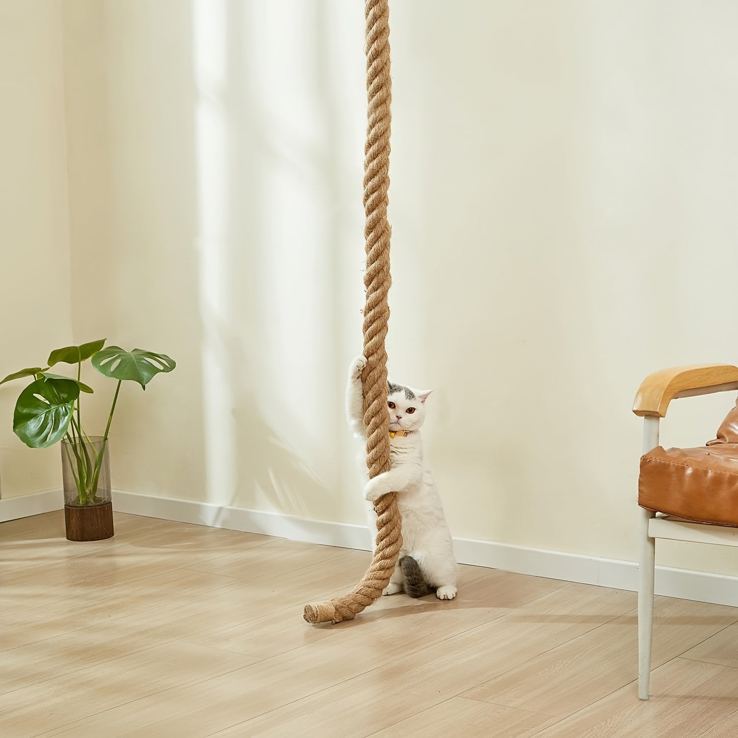 Wall Mounted Cat Tree 60 Inch Jute Climbing Rope Space-Saving Cat Wall Furniture with Scratching Post Large Ladder Resting Platform Indoor Cat Activity Set for Exercise Play