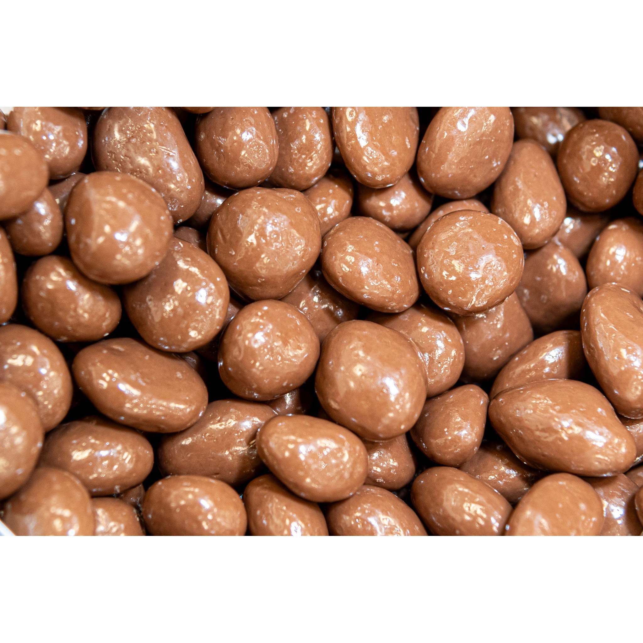 Milk Chocolate Covered Raisins Bulk Candy | Creamy Coating Chewy Juicy Raisins Sweet Snack Gift for All Ages 8oz 1lb