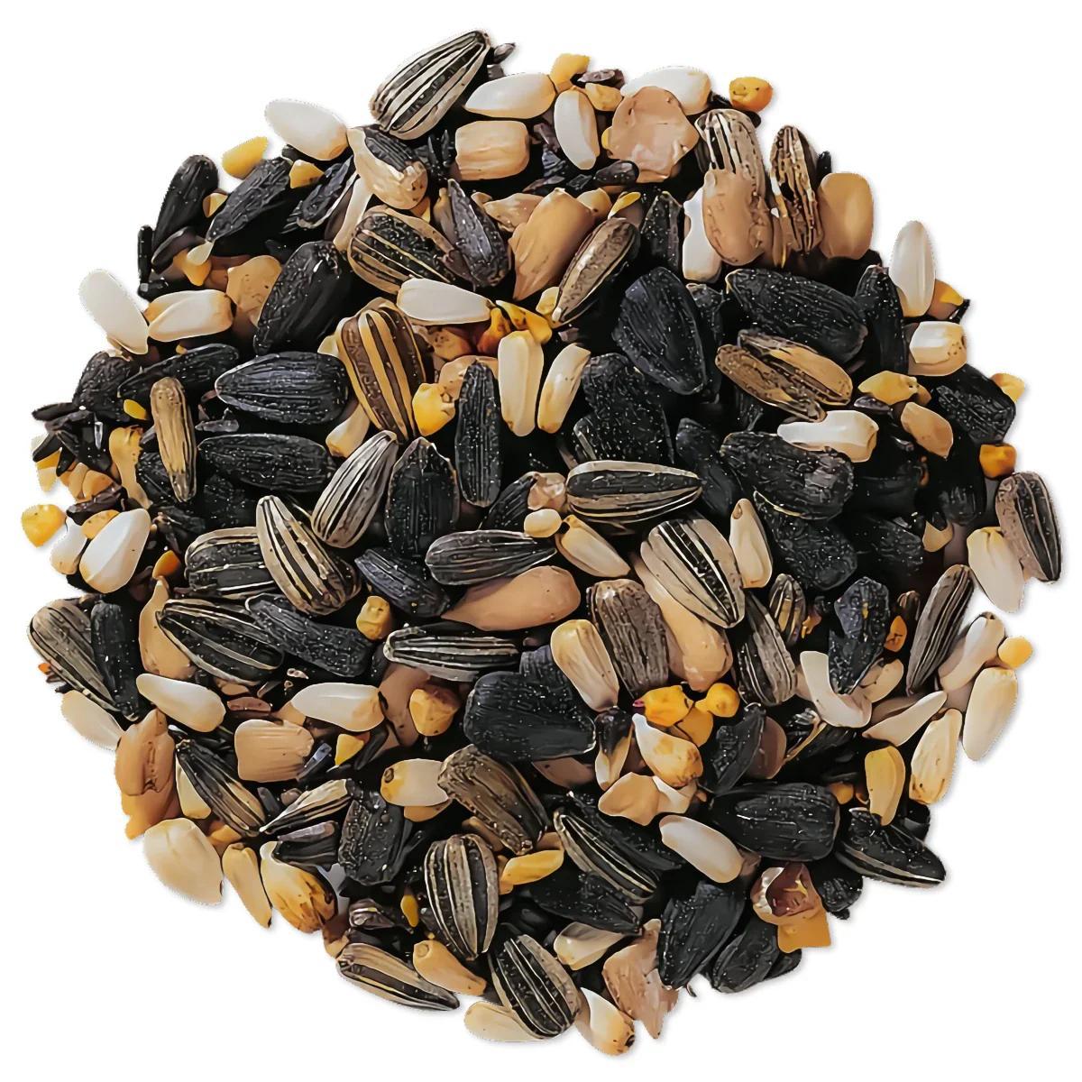 Wild Bird Seed 1 lb Premium No-Filler Songbird Food Attracts Cardinals Finches Sparrows Chickadees Year-Round Outdoor Feeding Hanging Lawn Ground Feeders