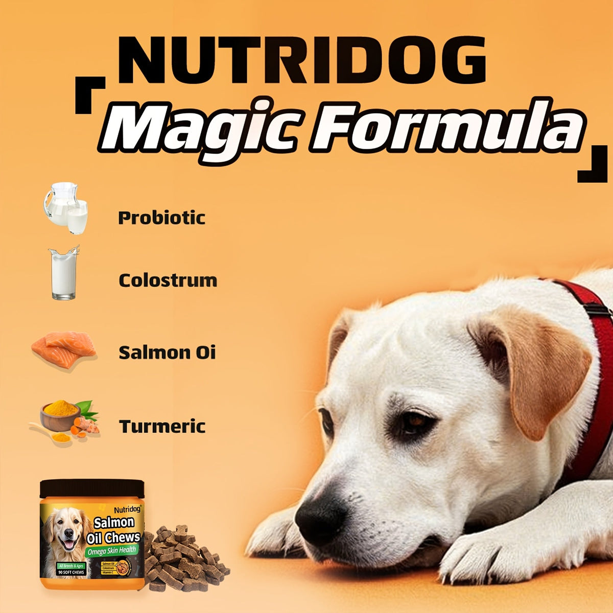 Dog Supplement Soft Chews 90 Count Probiotics Salmon Oil Chicken Flavor Supports Coat Gut Health Immunity All Ages Puppies Seniors 225g
