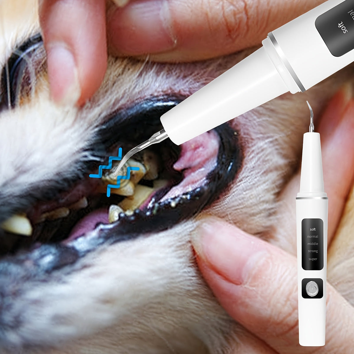 Electric Pet Teeth Cleaning Kit for Cats Dogs USB Rechargeable Removes Tartar Plaque Stains 4 Cleaning Heads 5 Modes At-Home Dental Care