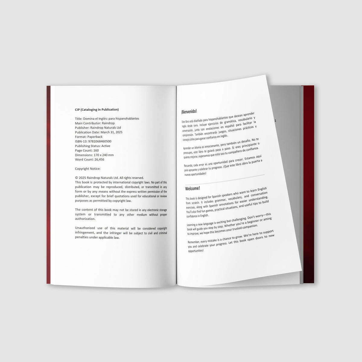 SabioCasa Dominate English 6 Books in 1 with Audio for Spanish Speakers – Beginner ESL Self-Study Guide Real-Life Phrases Grammar Pronunciation, Gift for Spanish Speakers Immigrants