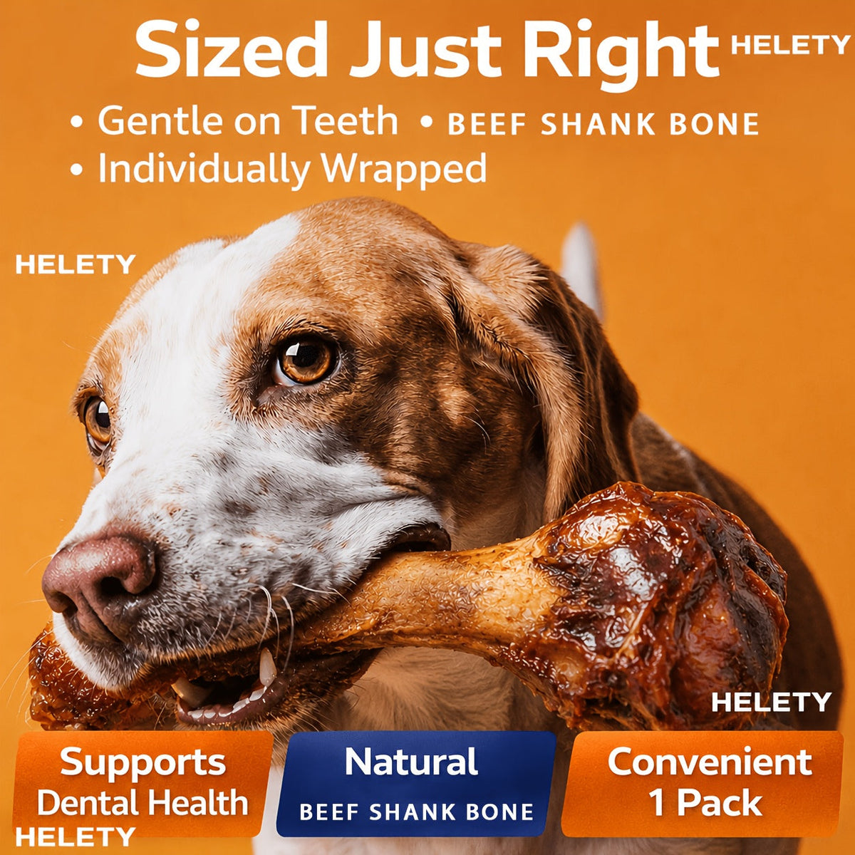 Long-Lasting Beef Bone Dog Chews Real Beef Flavor Chew Bones for Medium and Large Dogs Natural Daily Reward Dental Treats for Indoor Outdoor Snack Training Labrador German Shepherd
