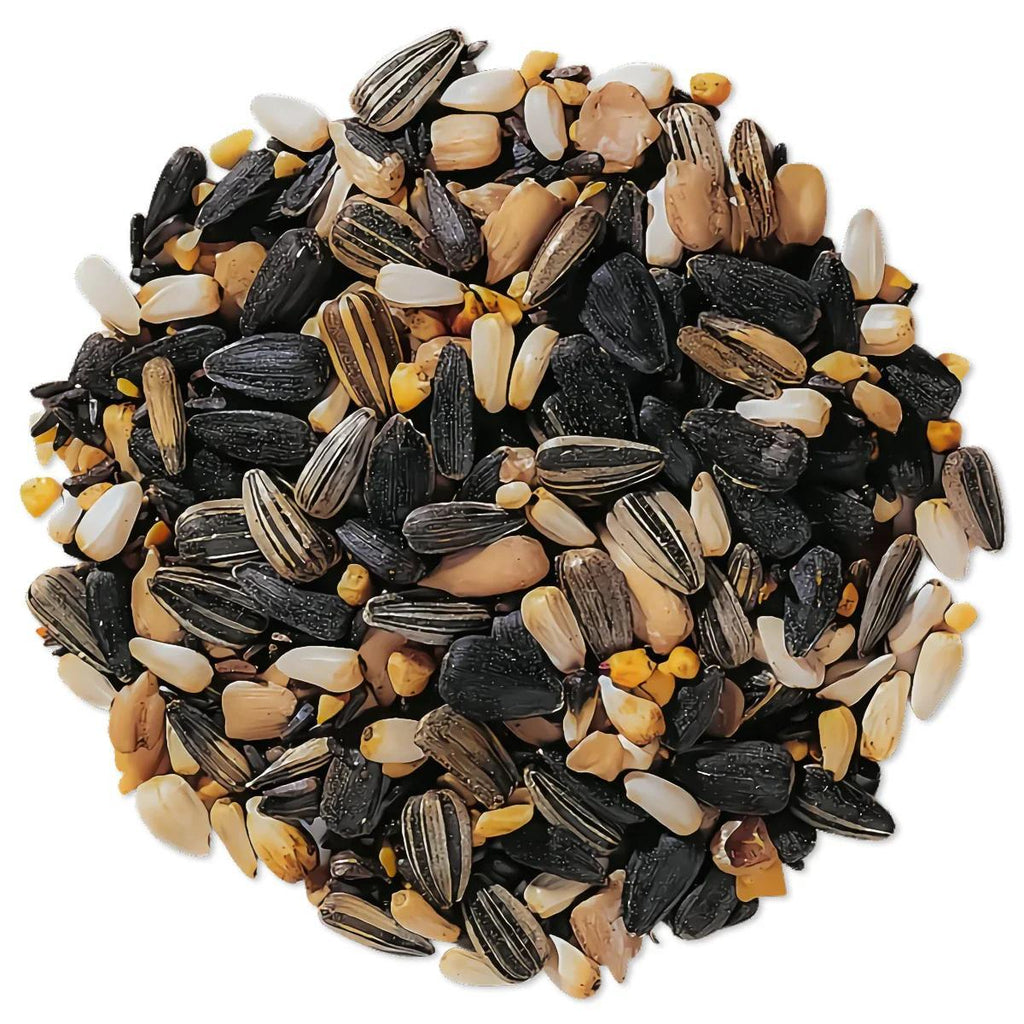 Wild Bird Seed 1 lb Premium No-Filler Songbird Food Attracts Cardinals Finches Sparrows Chickadees Year-Round Outdoor Feeding Hanging Lawn Ground Feeders