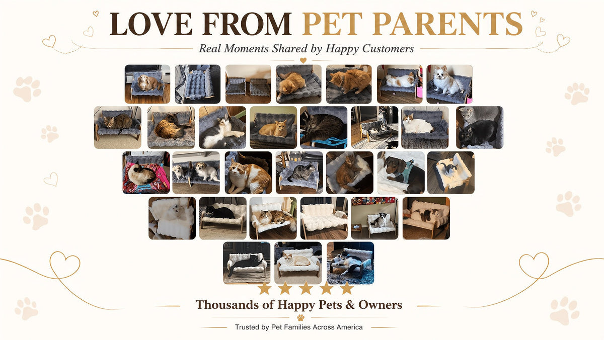 Elevated Pet Sofa Bed Solid Wood Frame Bamboo Mat Replaceable Fleece Mattress Modern Lounge Chair for Small Medium Dogs Cats Gray White Bamboo Style